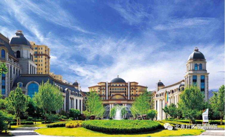 香河大愛城最新動態(tài)與日常趣事中的深厚友情