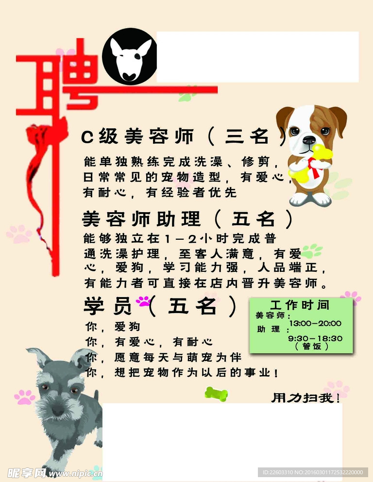 寵物店招聘最新動(dòng)態(tài)，共探自然之美，尋求內(nèi)心寧?kù)o