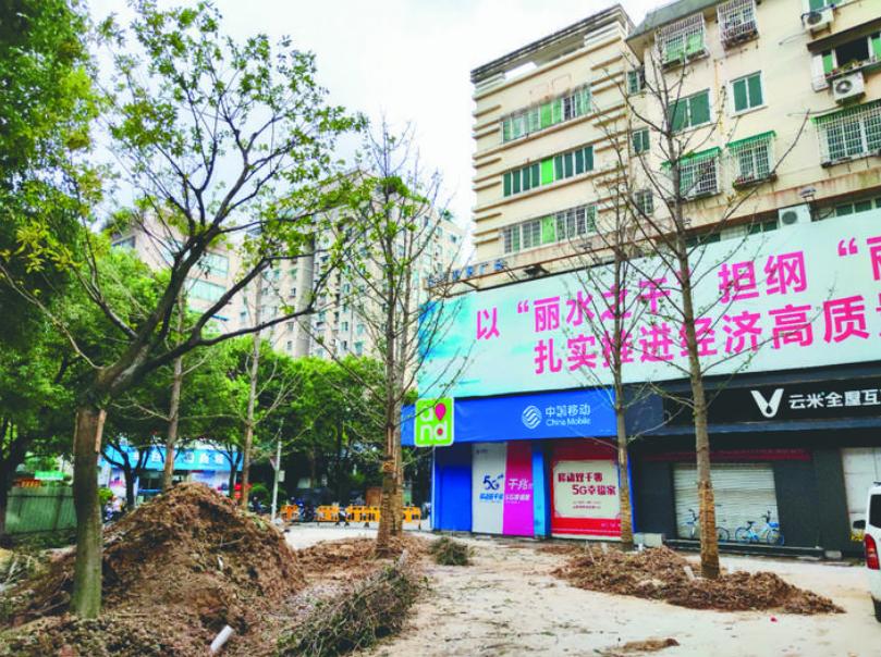 最新吊車網(wǎng)，自然美景之旅與內(nèi)心平靜的探尋