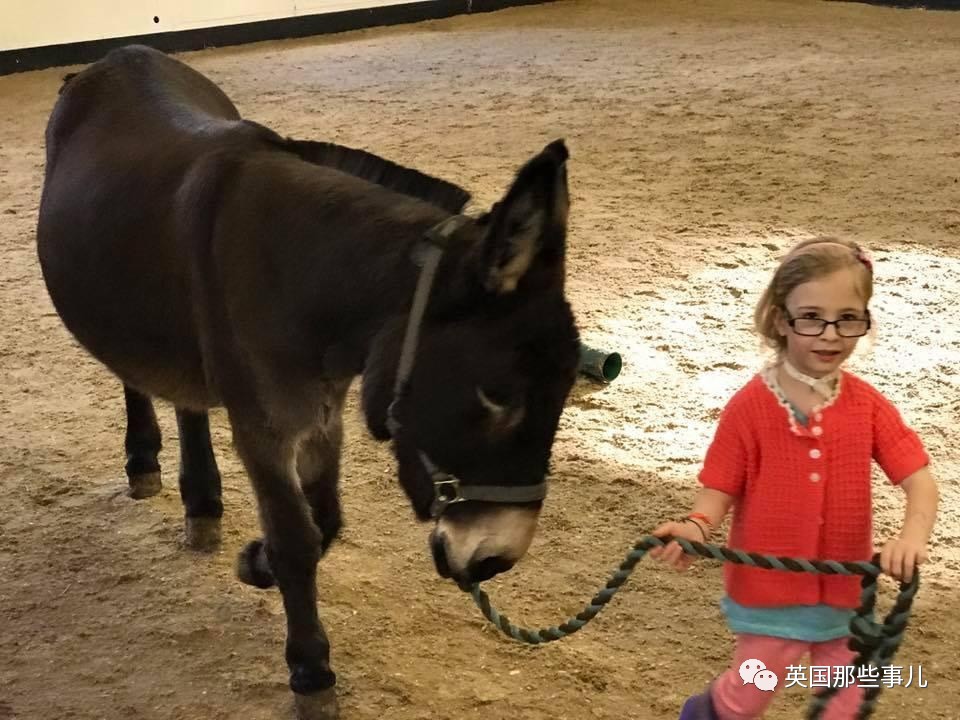 二驢子最新事件揭秘，事件全貌大揭秘！