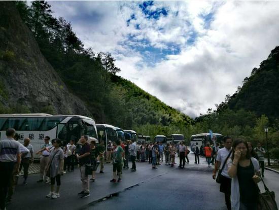 泰順高鐵最新動態(tài)更新，最新消息一覽