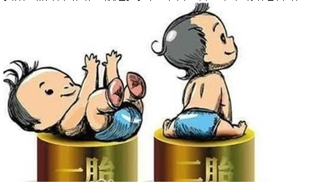 最新雙胞胎補(bǔ)助政策，攜手同行，助力孕育夢想之路