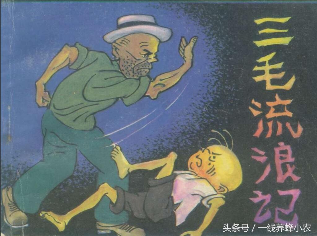 上海三毛最新動(dòng)態(tài)，自然美景探索之旅啟幕