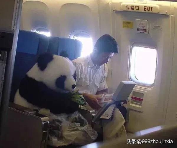 追逐變化之翼，學(xué)習(xí)鑄就自信與成就——虛幻最新探討