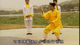 太極最新音樂，傳統(tǒng)與現(xiàn)代的完美融合藝術(shù)展現(xiàn)