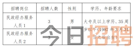 慶陽最新招聘揭秘，小巷中的特色小店，探索未知寶藏的職場之旅