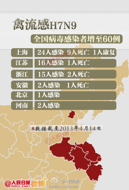 山東禽流感最新動態(tài)，友情與陪伴的溫馨故事