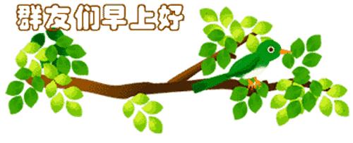 運(yùn)動(dòng)場(chǎng)館燈具 第95頁(yè)
