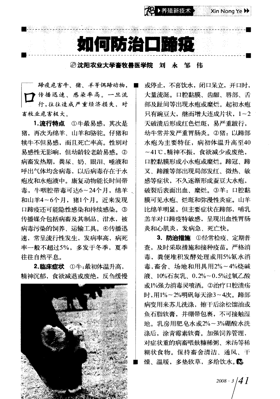 口蹄疫最新科研，自然探險與內(nèi)心平和的追尋之旅