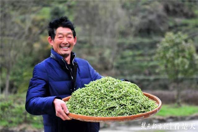 最新夷陵新聞，探索自然美景的旅程，尋覓內(nèi)心平和之地