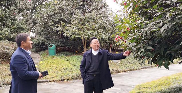 最新花木求購，開啟一場尋綠之旅的溫馨旅程