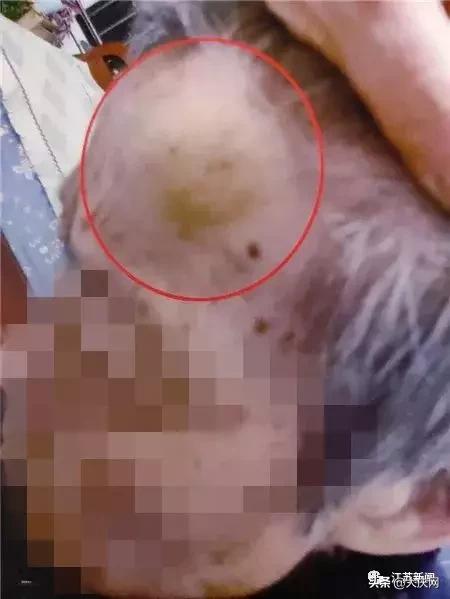 揪脖子最新視頻，探秘小巷風情小店，獨家揭秘！