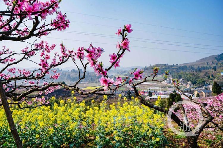 合川最新科技新聞，高科技產(chǎn)品引領(lǐng)未來生活潮流