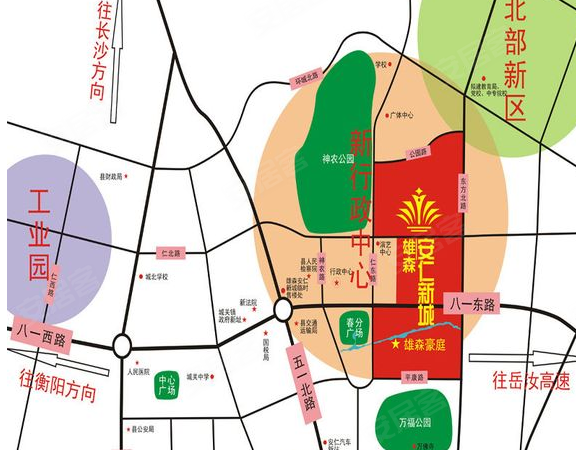 安仁雄森最新動(dòng)態(tài)揭秘，小巷中的隱藏寶藏！