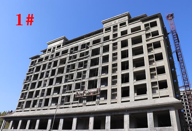 平輿最新樓盤市場現(xiàn)狀與前景展望，深度解析市場趨勢與發(fā)展前景展望