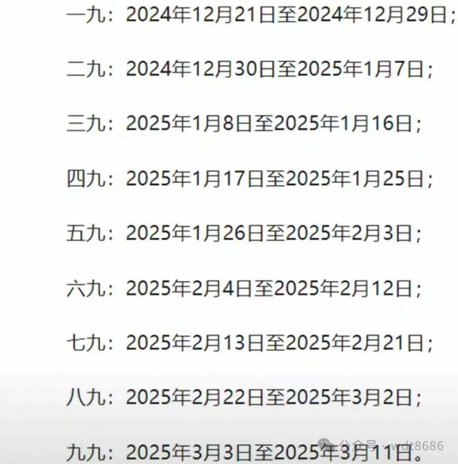 最新久久網(wǎng)2025，友情小船與溫馨日常的交織