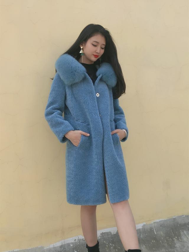 三七花最新價(jià)格揭秘，溫馨小故事中的尋找之旅