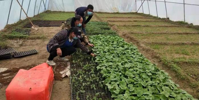 策勒最新招聘啟航人才新篇章，學(xué)習(xí)變化，擁抱自信與成就，啟程人生新征程！