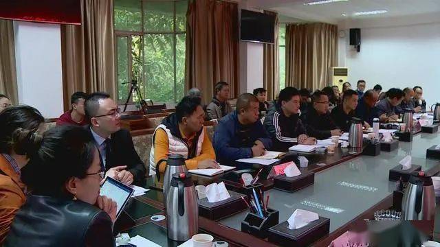 德昌最新新聞，擁抱自然，心靈寧靜之旅啟程