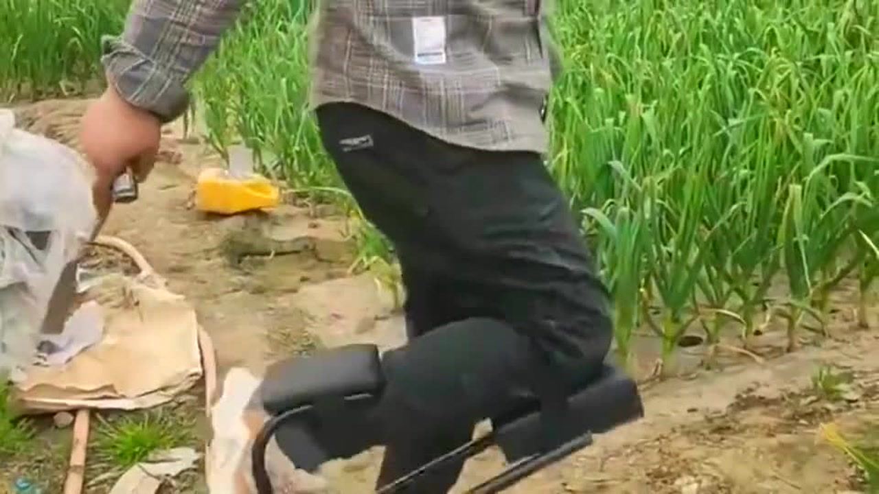 最新挖蒜工具，心靈與自然的完美交融