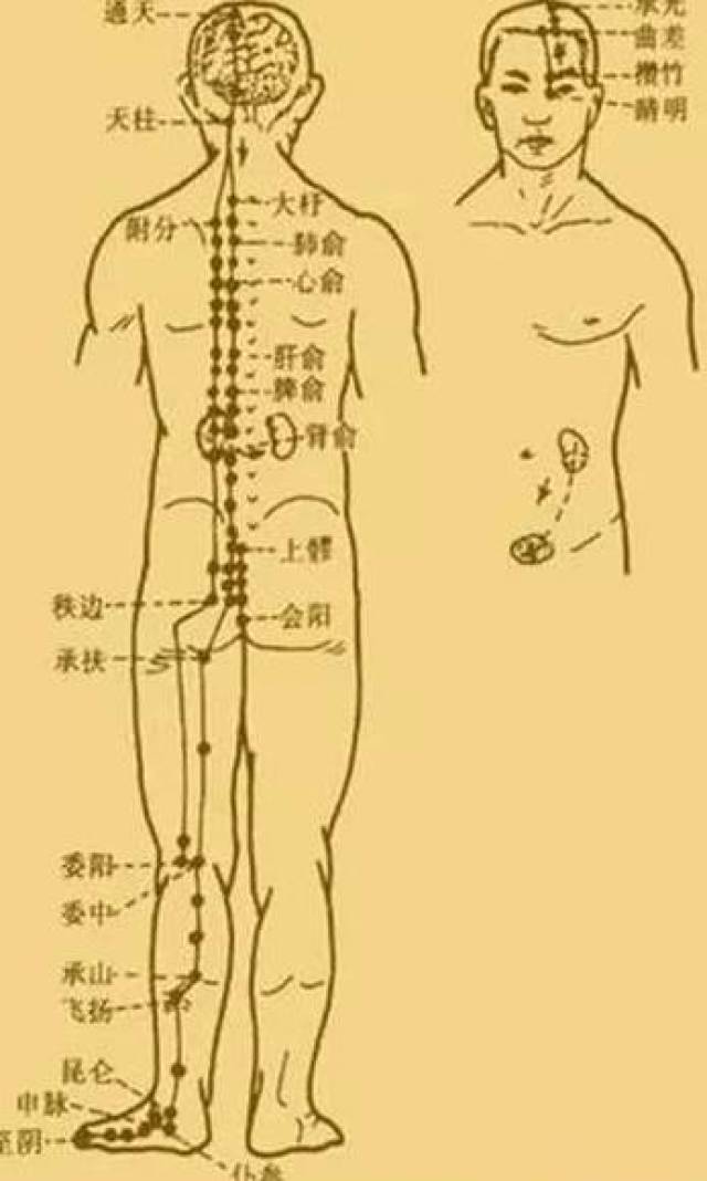 最新經(jīng)絡(luò)操，探索古老奧秘，重塑健康身姿