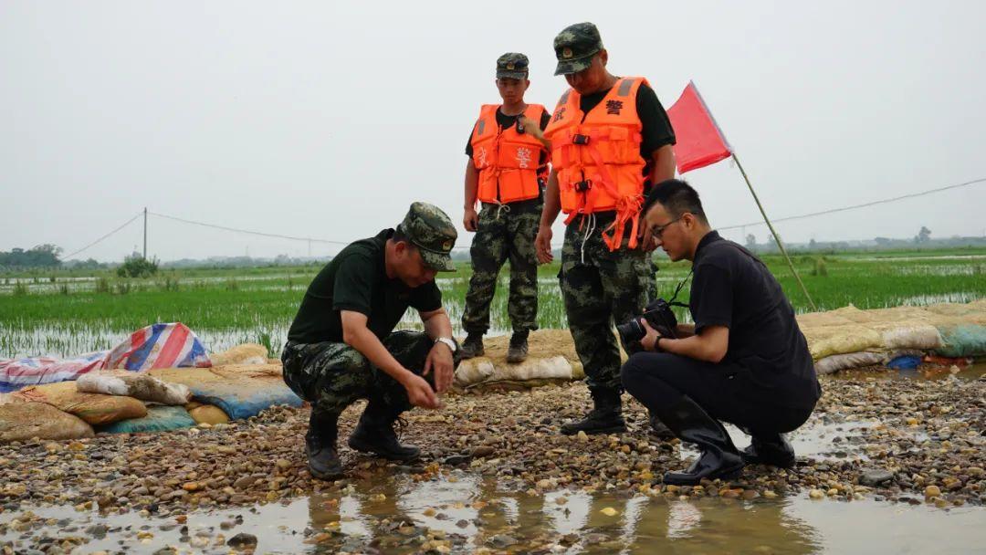 永修最新聞，背景探尋與時代地位的重要事件回顧