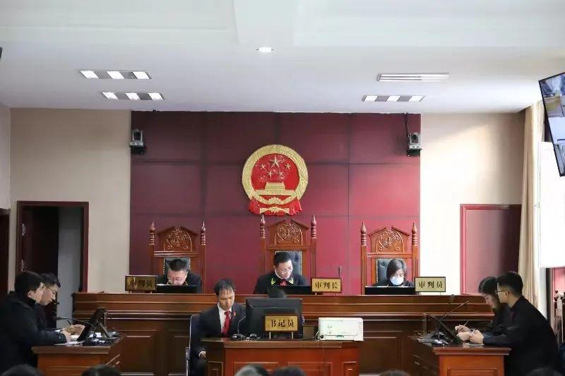 偏關(guān)最新案件深度解析，揭示真相，關(guān)注社會公正與公平