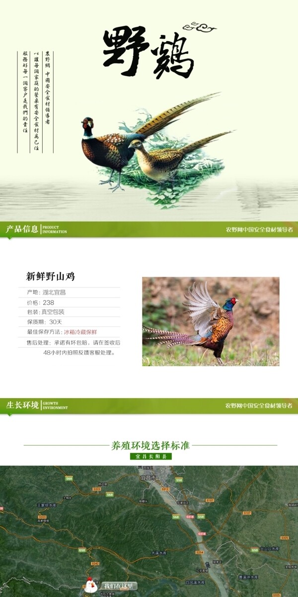深度剖析，最新山雞的背景、事件與地位概述