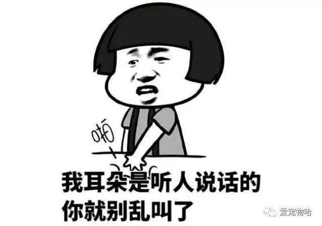 LED光源 第54頁