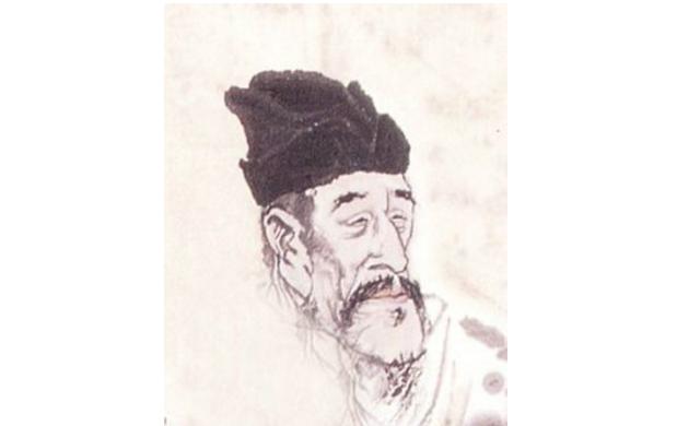 最新孤雁圖片，展現(xiàn)自然之美與深意的瞬間