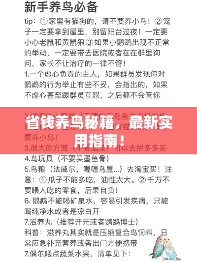 最新養(yǎng)鳥法規(guī)解析，觀點闡述與深度探討