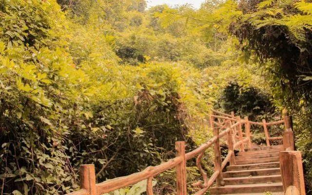 小99最新，科技、生活與娛樂的交融之地