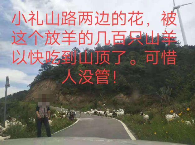 大悟最新路，探索未知，自信成就夢(mèng)想之旅的啟程