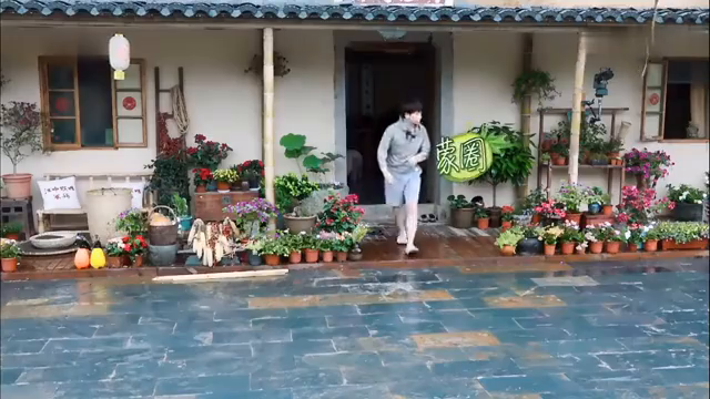最新蘑菇屋，自然與生活完美融合的夢幻之地