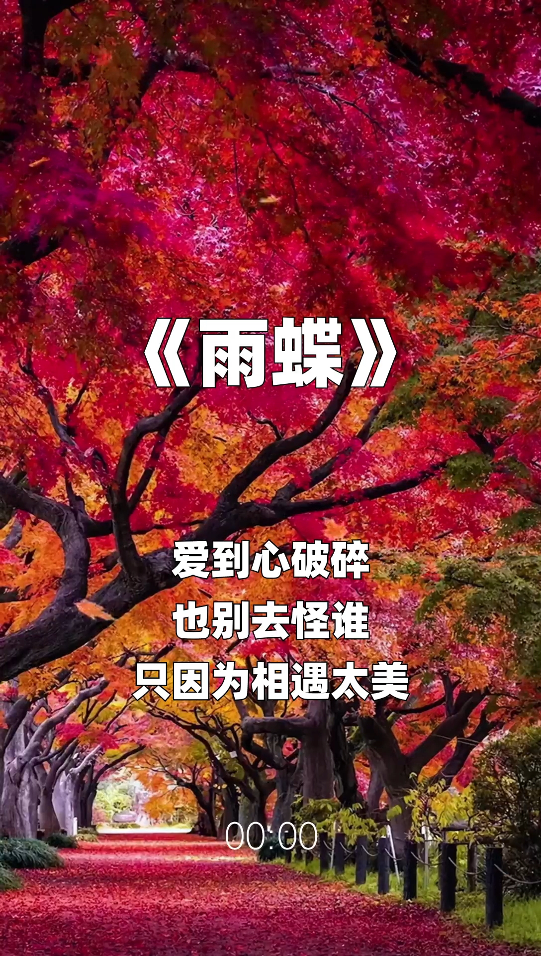 雨蝶最新步驟指南，如何完成任務或?qū)W習技能？