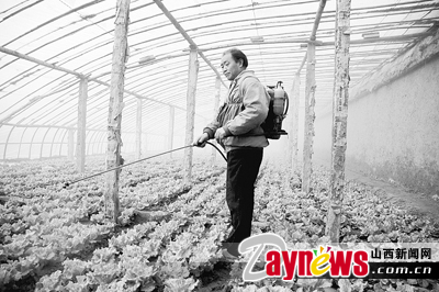 最新農藥抽檢結果出爐，守護農田安全，你我他的共同責任