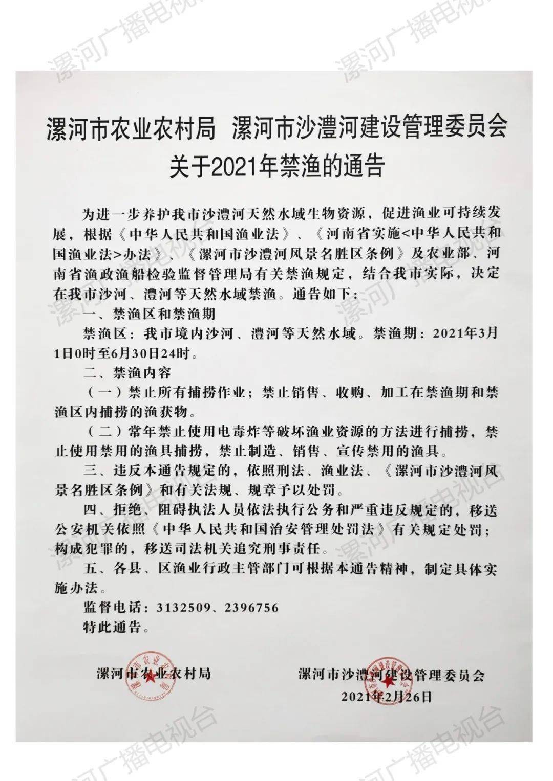 漯河最新通告，探索自然美景，尋覓內(nèi)心寧?kù)o與平和之旅