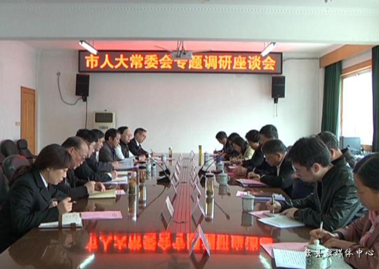 安徽歙縣最新動(dòng)態(tài)，小巷深處的驚喜