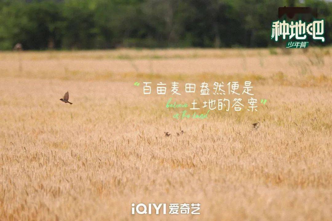 種地吧最新語錄，探索未來農(nóng)業(yè)的高科技魅力